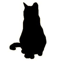 Book Chat Noir