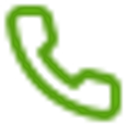 AI Voice Calls