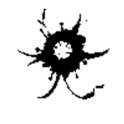 Echo