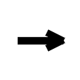 Big 5 Archive