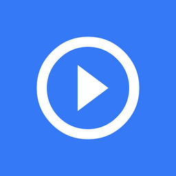 Voisum: Summary AI