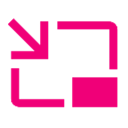 DualPiP