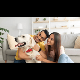 dog sounds