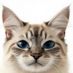 AI Cat Portraits