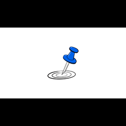Needle