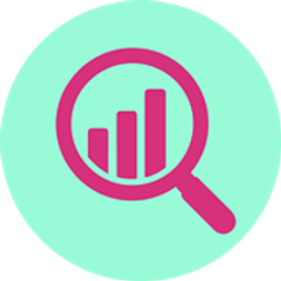 Website Analyzer