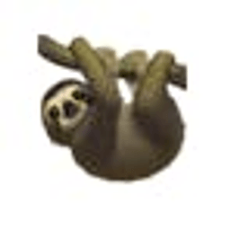Split Sloth