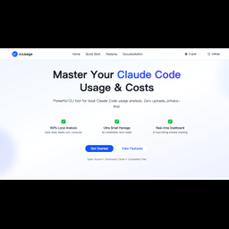 How to use ccusage