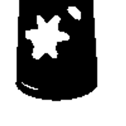 Code Police
