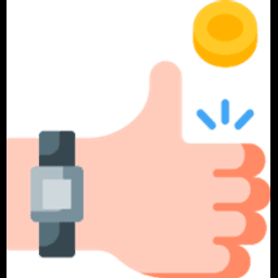 Flip a Coin Online