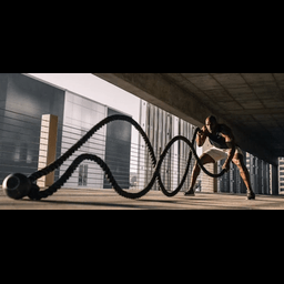 Exercise Database