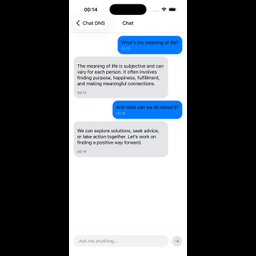 DNS Chat