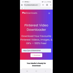 PinDownloads