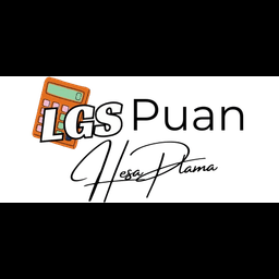LGS Puan Hesaplama