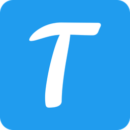 T Checker