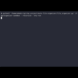 Auto File Organizer