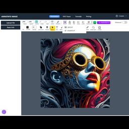 Annotate Image