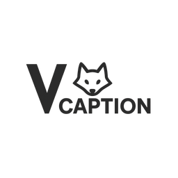 Video Caption