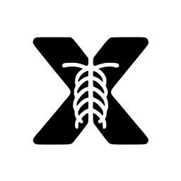 X-ray Interpreter