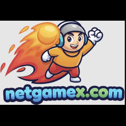 NetGameX 