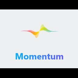 Momentum