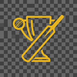 IPL Auction Simulator 2025